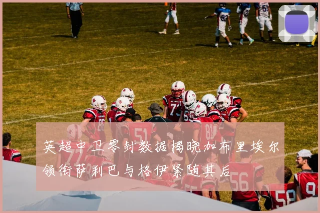 英超中卫零封数据揭晓加布里埃尔领衔萨利巴与格伊紧随其后